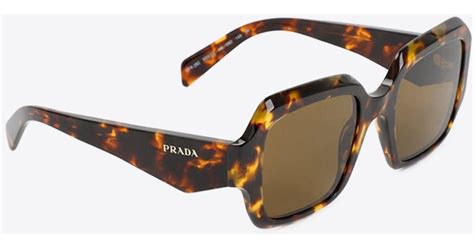 prada geometric havana sunglasses|prada sunglasses havana brown.